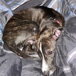 Meet your Posher, Zachary